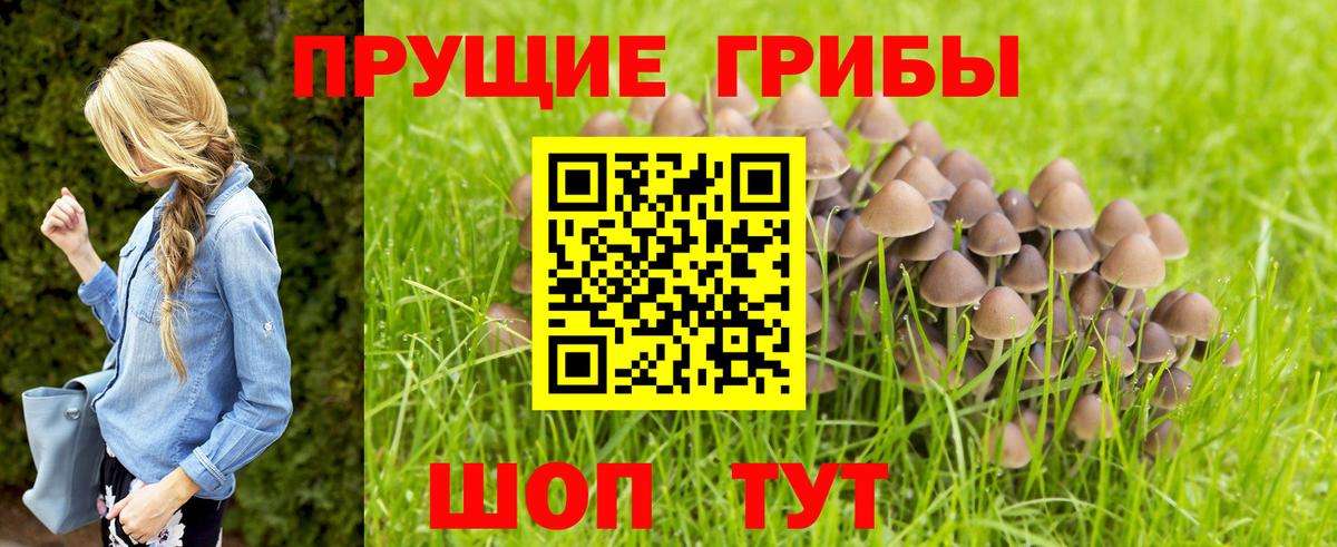 Галлюциногенные грибы ЛСД  Псилоцибиновые грибы Cubensis  Кудрово  Вход с VPN 